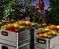 Transport von Obst und Gemüse